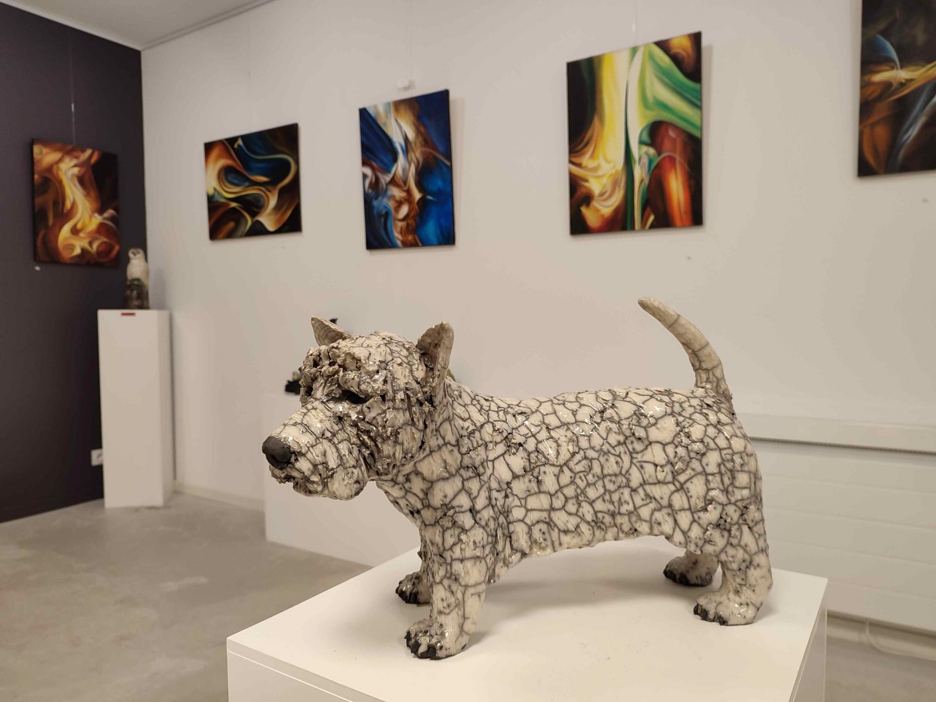 Expo joas micheli 8